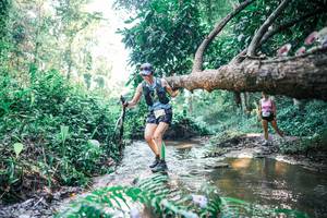 BIB: 
                            <button type="button" onclick="openModal(25437031)" class="btn btn-primary btn-sm float-right btn-popup" data-toggle="modal" data-target=".modal-high-quality">
                        <i class="fas fa-shopping-cart"></i> Add to Cart
                    </button>
                                            <button type="button" onclick="isThisMe(25437031, true)" class="btn btn-success btn-sm float-right btn-popup btn-isme hidden" data-toggle="tooltip" data-placement="bottom" title="นี่คือรูปของคุณใช่ไหม คลิกที่นี่เพื่อเอาเข้าอัลบั้ม">
                        <i class="fas fa-plus"></i> Add to album
                    </button>
                    <button type="button" onclick="isThisMe(25437031, false)" class="btn btn-warning btn-sm float-right btn-popup btn-isnotme hidden">
                        <i class="fas fa-ban"></i> Remove from album
                    </button>